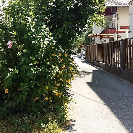 Sunflower Accommodation Ljubljana Eksteriør bilde
