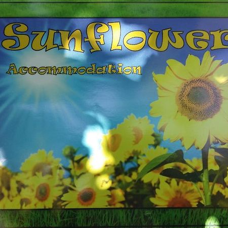 Sunflower Accommodation Ljubljana Eksteriør bilde
