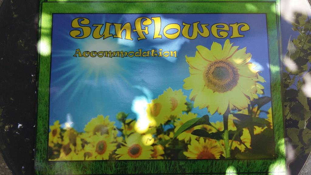 Sunflower Accommodation Ljubljana Eksteriør bilde